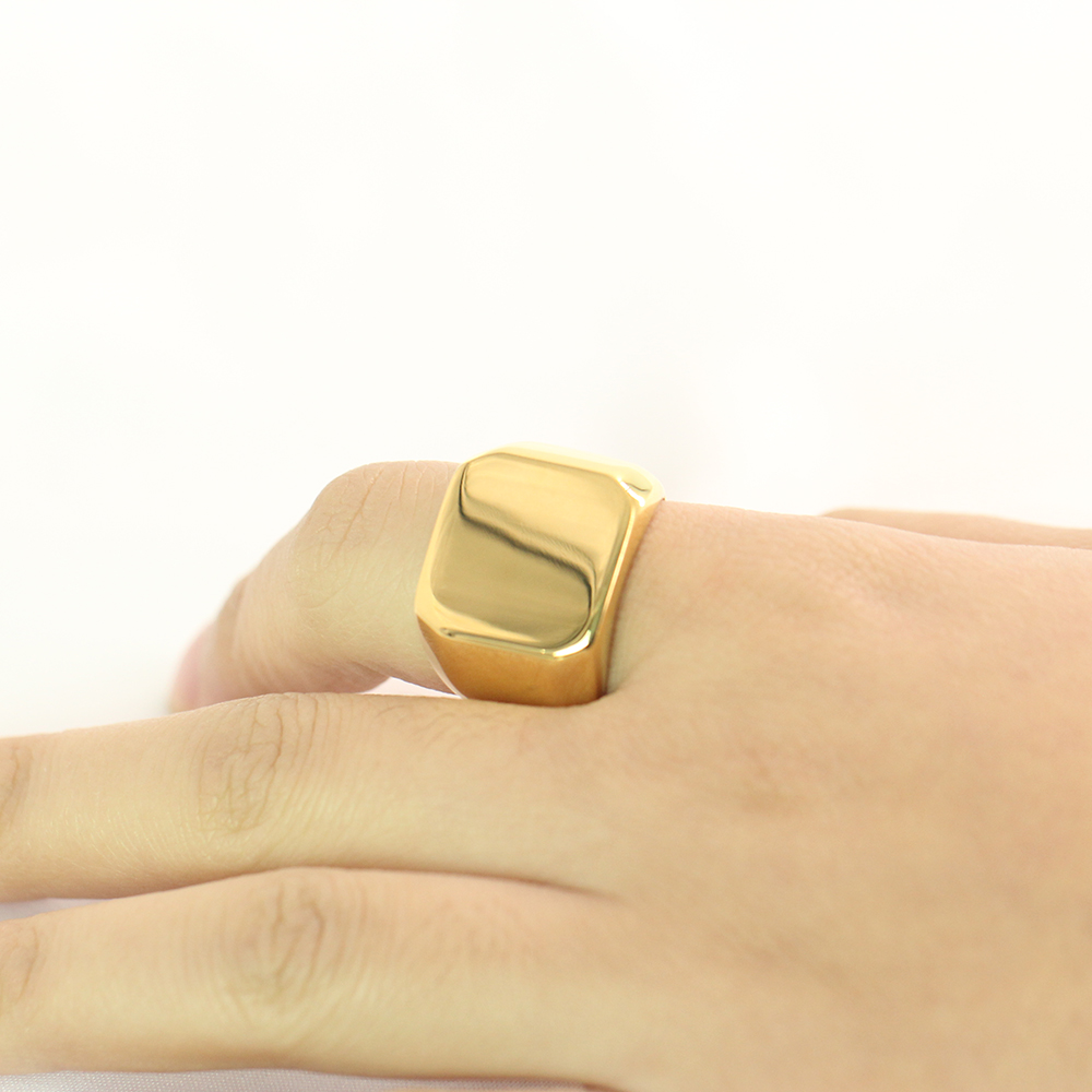 남성용 큰 너비 시그넷 반지, 티타늄 스틸 쥬얼리, 실 - Titanium Steel Ring 리뷰 및 가격